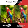 Koala Inkjet Transparency Film 25 Sheets 100% Clear Transparency Paper