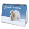 Tierkinder Polar Bears DIN A5 Desk Calendar for 2026 Polar