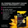 Garnier Olia Permanent Hair Dye, Ammonia-Free Hair Color, 2P Black