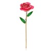 Long Stem Dipped 24k Gold Rose in Gift Box with