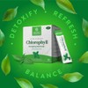 Nature's Sunshine Nature's Sunshine Chlorophyll Stick Packs: Supercharge Your Detox