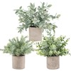 Der Rose 3 Pack Mini Potted Fake Plants Artificial Plastic