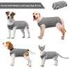 Kuoser Surgical Recovery Suit for Dogs Cats, Pet T-Shirt After