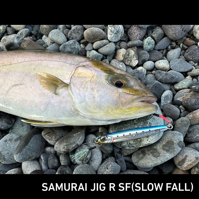 Daiwa Samurai Jig R SF Lure, 0.7 oz (20 g),