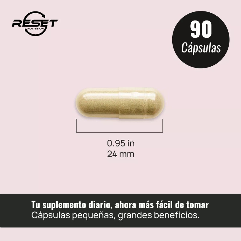 Reset Nutrition Blood Pressure Support 90 Cápsulas Suplemento Alimenticio para