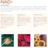 ETERNAL NUTRITION Essentials: NAD+ Puro con TMG y Alfa Lipoico