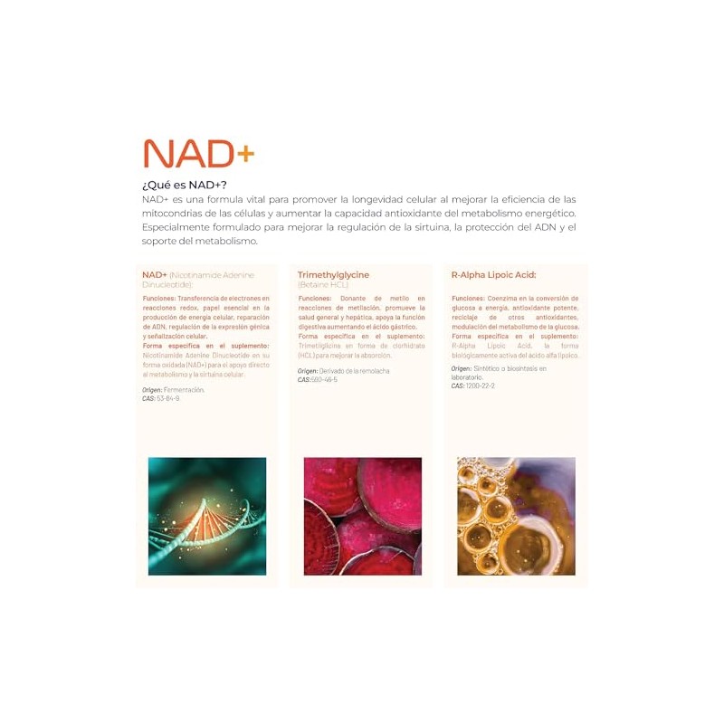ETERNAL NUTRITION Essentials: NAD+ Puro con TMG y Alfa Lipoico
