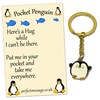 Perfect Message Pocket Penguin Hug Keyring Inspirational Gift for Boys