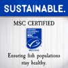 Blue Harbor Fish Co. Wild Pink Salmon in Water No