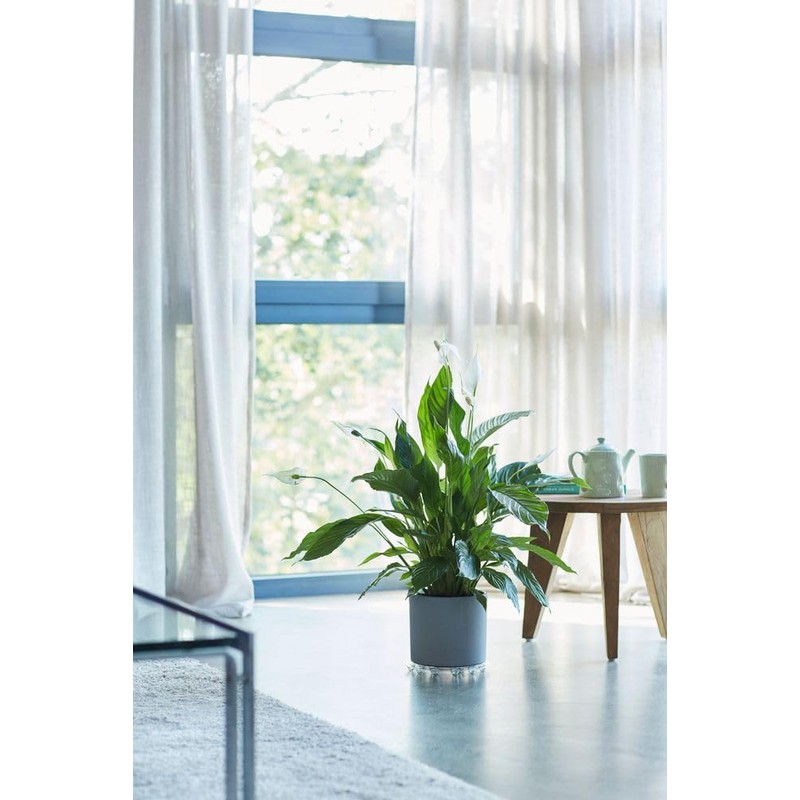 elho Floorprotector Round 18 - Accessories for Indoor Use -