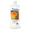 Spitzner Sauna Infusion Anise Orange 1 Litre