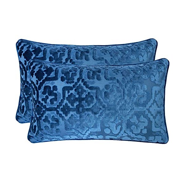 Homey COZY Modern Velvet Throw Pillow Cover (Set of 2