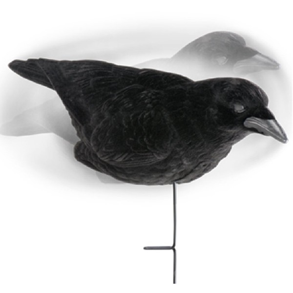 Lucky Duck 3 Pack of Crow