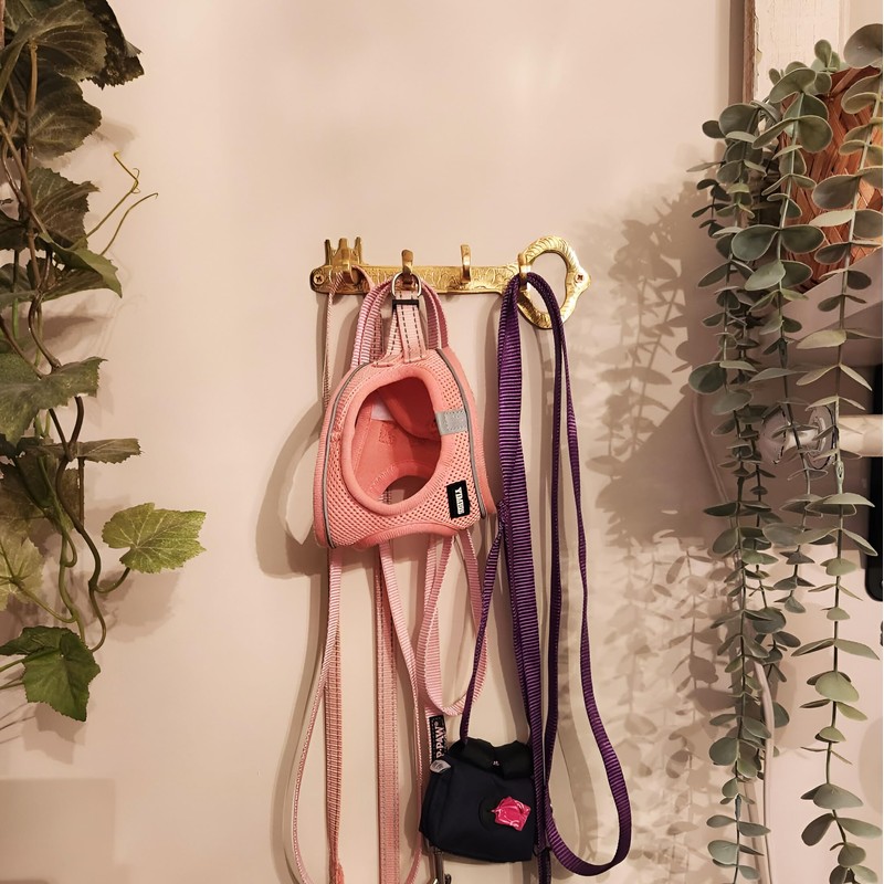 JUVOSY Unlacquered Brass Wall Hooks – Vintage Key Design –