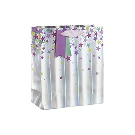 Silver Holographic Gift Bag with Stars and Tag Birthday Occassions (Medium)