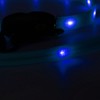 Outdoor Dog LED Collars with Leashes Set USB Rechargeable Pet