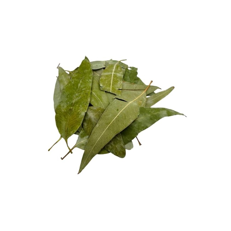 Dried Eucalyptus Leaves 85g - 1.95Kg Premium Quality Eucalyptus Globulus