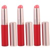 Baluue 4sets Professional Makeup Brush Collection Lip Brush Lipstick Applicator