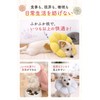 Croissant Magazine, Supervised by Veterinarian x JPPMA Certified, Elizabeth Collar