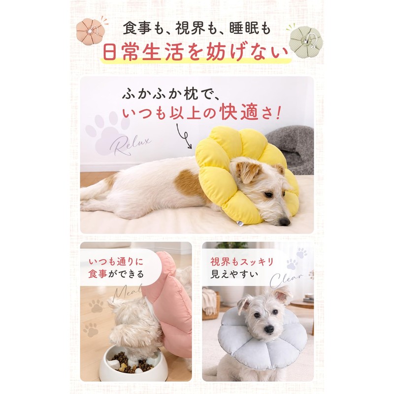 Croissant Magazine, Supervised by Veterinarian x JPPMA Certified, Elizabeth Collar