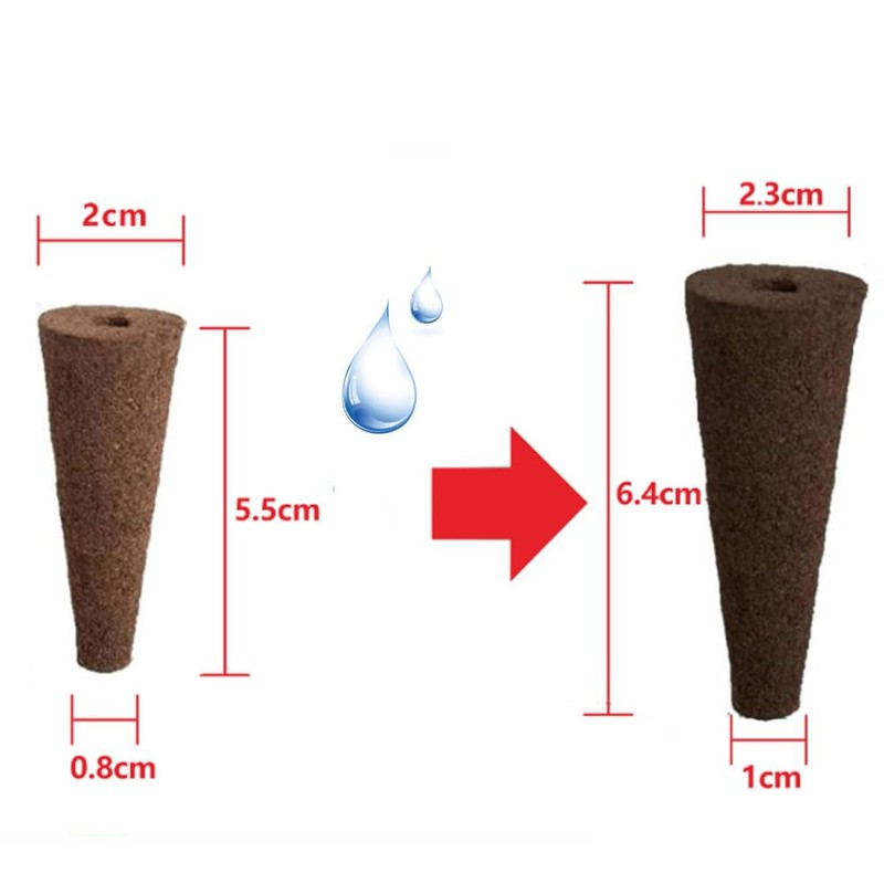 Armastuse Propagation Sponges, Pack of 50 Replacement Breeding Sponges for
