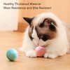 Smart Pet Toy Ball ABS and Silicone Automatic Rolling Toy