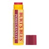 Burt's Bees Geschenkset „Mistletoe Kiss“: 100% natürlich mit 3 feuchtigkeitsspendenden