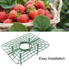 Strawberry Support, 20 Pack Strawberry Plant Support Strawberry Stand Holder