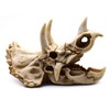 Resin Dinosaur Skeleton Triceratops Imitation Skull Model Home Office Display