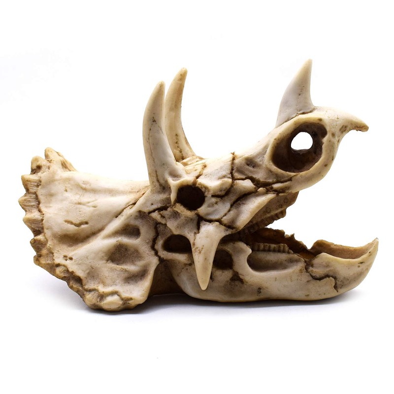 Resin Dinosaur Skeleton Triceratops Imitation Skull Model Home Office Display