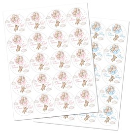 Boho Teddy Bear Balloons Team Girl, pegatinas de revelación de género de Team Boy – 40 etiquetas (20 de cada diseño)