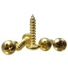 100pc. #4 x 1/2" Brass-Plated Phillips Round-Head Wood Screws