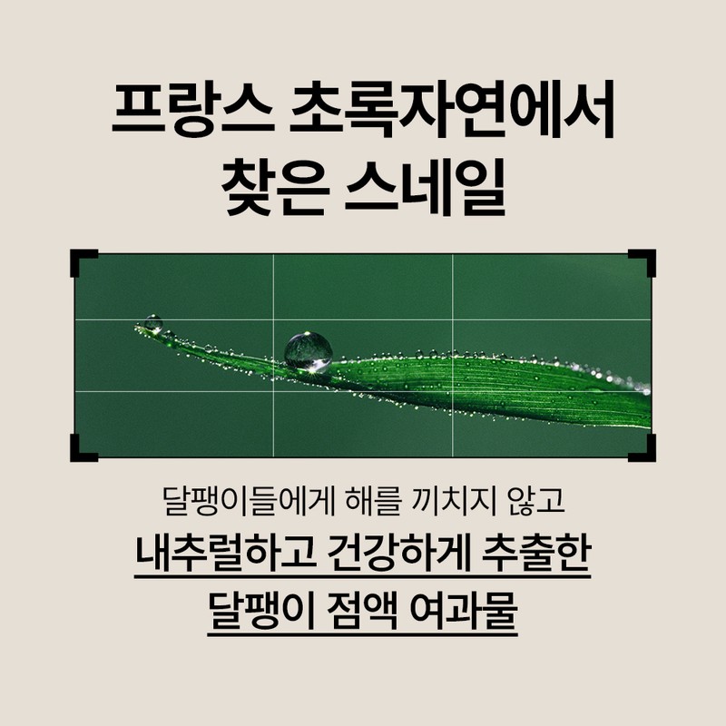 Nature Republic Snail Elasticity Nutrition Moisturizing Nature Republic Snail Solution