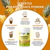 Vegs Pineapple Juice Powder - Freeze Dried Organic Pineapple Powder