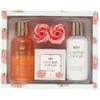 Nol Corporation OB-FRG-1-1 Bath Salt, Floral Bath Gift Set, Turquoise