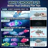 Swimming Robot Fish Water Activated LED Light Up Automatic Interactive