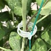 100Pcs White Plastic Trellis Clip Plants Support Clips, Tomato Clips,