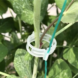 100Pcs White Plastic Trellis Clip Plants Support Clips, Tomato Clips, Plants Support Structures, Cages Plants Vine Vegetable Fastening Clip Grafting Tools Make Plants Grow Upright