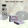 Batmax 2X 1260mAh NP-FR1 NP FR1 Battery + LCD USB