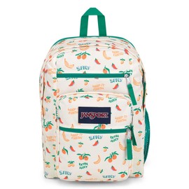 JanSport Laptop Backpack - Computer Bag with 2 Compartments, Ergonomic Shoulder Straps, 15” Laptop Sleeve, Haul Handle - Book Rucksack - Five A Day Cream