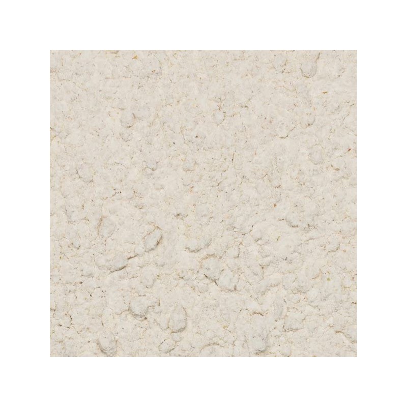 Whole Food Earth® - Buckwheat Flour 500 g | GMO