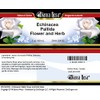 Bianca Rosa Echinacea Pallida Flower and Herb Salve (2 oz,