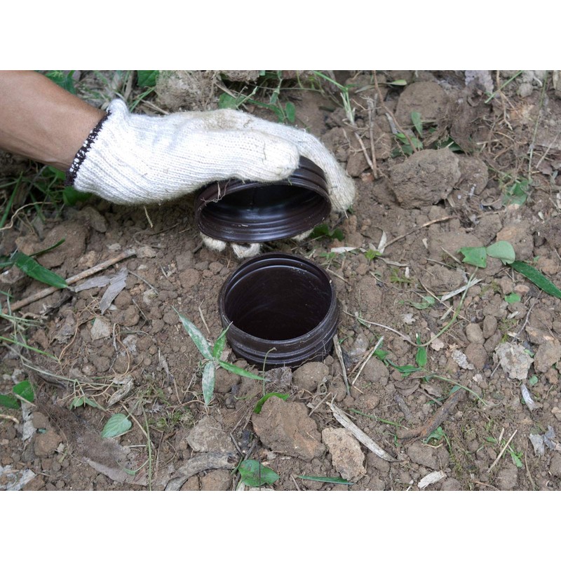 mitugiron mogurakka-