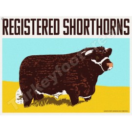 Registered Shorthorns 18" x 24" Metal Sign