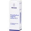 Bryophyllum Argento Cultum D3 Weleda Dil., 50 ml Solution