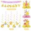 One Lucky Duck Birthday Decorations, 12PCS Cute Duck Party Decorations