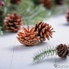 Natural Pine Cones 12Pc - Crafts for Kids and Fun