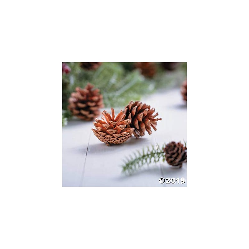 Natural Pine Cones 12Pc - Crafts for Kids and Fun