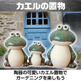 Boono Frog Figurine Interior Object Miscellaneous Goods Entrance (Frog Family (Green))