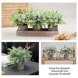 Plantas Artificiales en Maceta, paquete de 4 paquetes de plantas artificiales, minimacetas artificiales, arbustos de topiario de imitación de...      